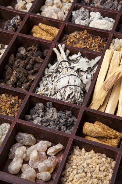 Traditional Chinese Medicine herbs used in CellMed therapy at DiYi TCM
